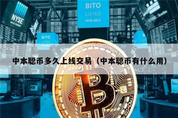 中本聪币多久上线交易（中本聪币有什么用）-第1张图片-交易所